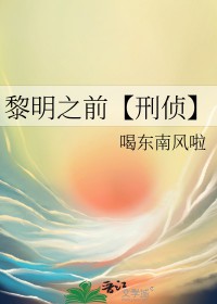 黎明之前电视剧谍战片